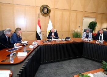 مصر وفولكس فاجن تبحثان إنشاء أكبر مشروع لتصنيع السيارات في شرق بورسعيد