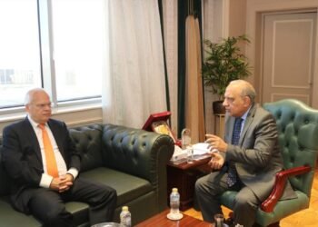 مصر والسويد تبحثان فرص الشراكة والاستثمار في شبكات الكهرباء الذكية والطاقة النظيفة