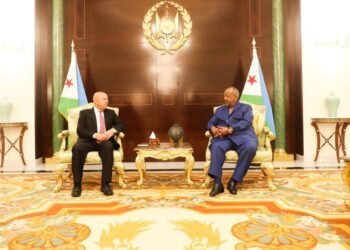 مصر وجيبوتي تبحثان توسيع الشراكة في البنية التحتية والطاقة الخضراء