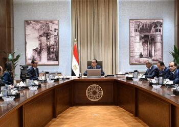 رئيس الوزراء يتابع آليات تحقيق أقصى استفادة من الأصول التي تم نقل ملكيتها لصندوق مصر السيادي