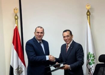 “تنمية الريف المصري الجديد” تطلق مشروعًا لتوصيل الكهرباء إلى أراضيها بتكلفة 25 مليار جنيه