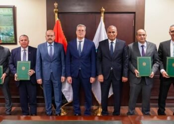 QNB مصر يقود تحالف مصرفي لتمويل مشترك بقيمة 140 مليون دولار لشركة العلمين لمنتجات السيليكون