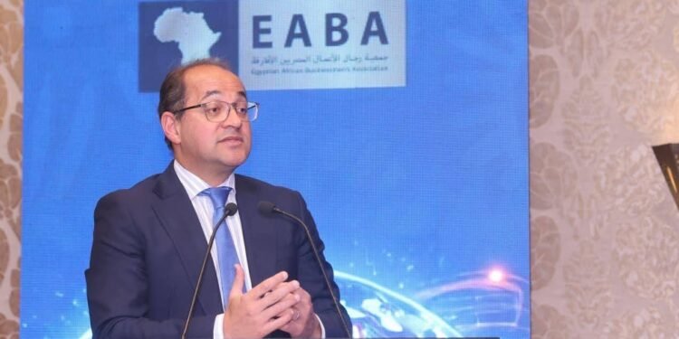 وزير المالية: مصر تقود التحول الاقتصادي والرقمي في أفريقيا بالاستثمار الخاص والإصلاحات المالية