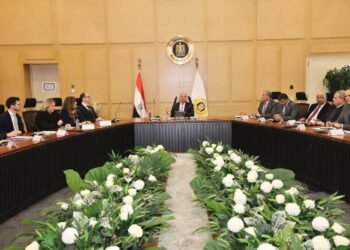 الحكومة تستهدف توطين صناعات السكك الحديدية بالتعاون مع شركات نمساوية