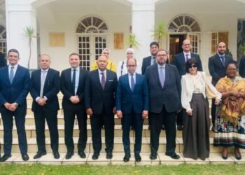 البنك المركزي المصري وجنوب أفريقيا يتبادلان أفضل الممارسات في العمل المصرفي المركزي