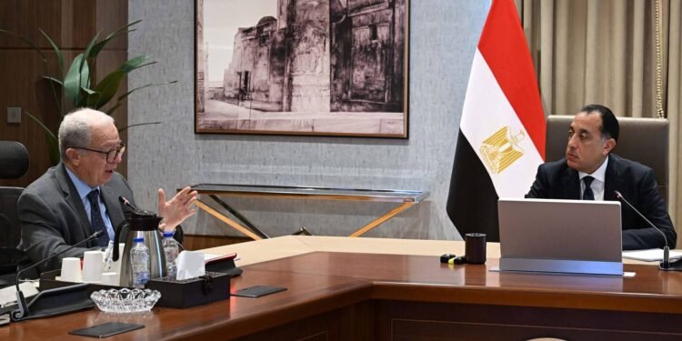 مناقشات حكومية حول نقل 40 شركة إلى صندوق مصر السيادي وقيد 20 شركة بالبورصة