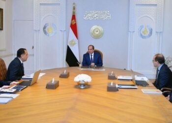 الرئيس السيسي: الاستقرار المالي والاقتصادي أولوية وضرورة تعزيز دور القطاع الخاص