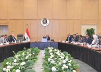 «الاستثمار» تبحث جذب صناديق المعاشات الكورية وتوسيع التعاون الصناعي