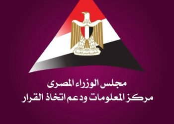 “معلومات الوزراء” : 6 مليارات مستخدم للإنترنت عالميًا والتحول الرقمي يعيد تشكيل الإعلام