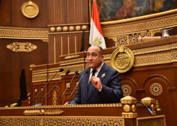 عضو بالشيوخ: تعديل قانون التأمينات يمس حياة ملايين المصريين
