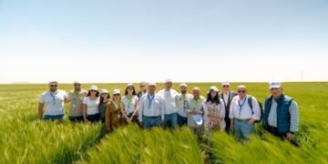 شركة الأهرام للمشروبات تطلق موسم حصاد الشعير 2026 بشرق العوينات ضمن برنامج زراعة مستدام