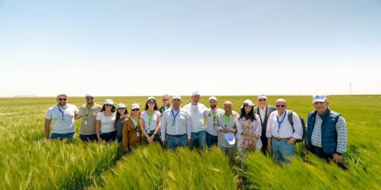 شركة الأهرام للمشروبات تطلق موسم حصاد الشعير 2026 بشرق العوينات ضمن برنامج زراعة مستدام