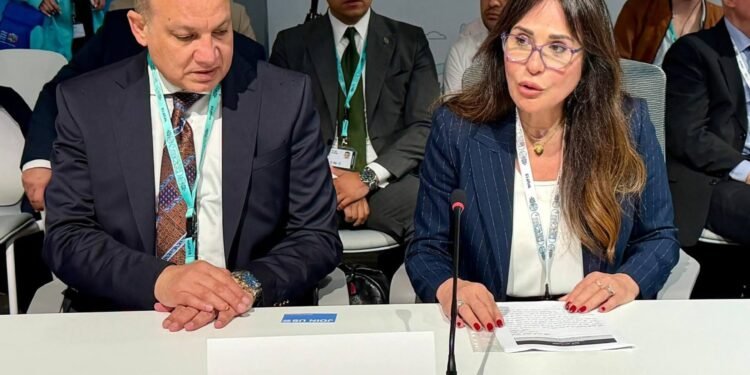 راندة المنشاوي: تنفيذ 1.5 مليون وحدة سكنية منذ 2014 ضمن أكبر برامج الإسكان بالمنطقة