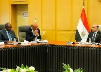 مصر و«IFC» تبحثان رقمنة الخدمات الاستثمارية وتبسيط الإجراءات وتعزيز الشراكات الاقتصادية