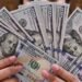 سعر الدولار اليوم في مصر.. استقرار العملة الأمريكية أمام الجنيه بالبنوك