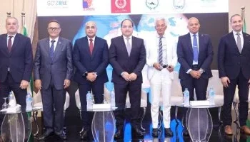 علاء عز: حصر آليات تمويل تنموي بأكثر من 86 مليار دولار لدعم الاستثمار في إفريقيا