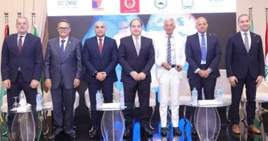 علاء عز: حصر آليات تمويل تنموي بأكثر من 86 مليار دولار لدعم الاستثمار في إفريقيا