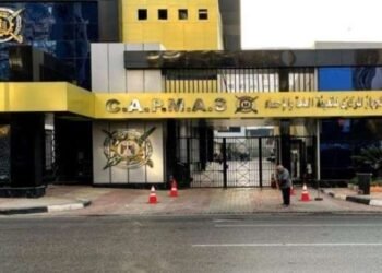 الإحصاء: ارتفاع رأس المال المدفوع للهيئات الاقتصادية إلى 449.9 مليار جنيه خلال 2024/2025