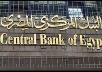البنك المركزي: مصر تقود إعداد ونشر أول تقرير للاستقرار المالي على مستوى إفريقيا
