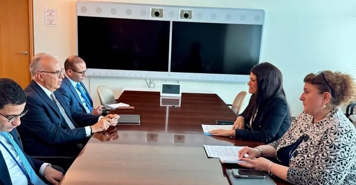 وزير الري يبحث مع الأمينة التنفيذية للإسكوا تعزيز التعاون في مجالات المياه والتنمية المستدامة