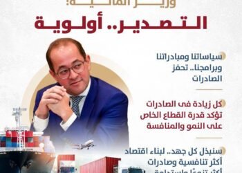 وزير المالية: 48 مليار جنيه لدعم المصدرين ورد الأعباء التصديرية في الموازنة الحالية