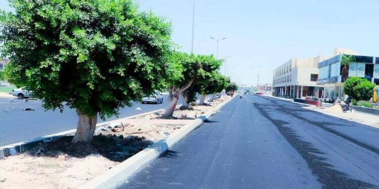 وزيرة الإسكان تتابع تطوير الطرق والمرافق بمدينة السادات وتوجه بسرعة إنجاز المشروعات