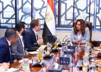 وزيرة التنمية المحلية