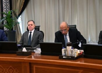 الحكومة: رفع قدرات الطاقة المتجددة إلى 30.7 جيجاوات بحلول 2029