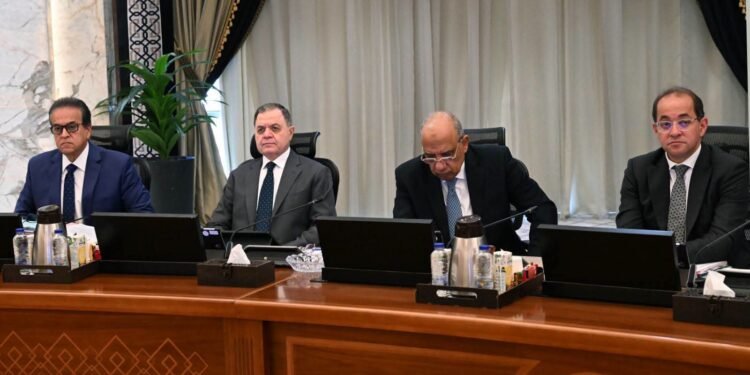 الحكومة: رفع قدرات الطاقة المتجددة إلى 30.7 جيجاوات بحلول 2029