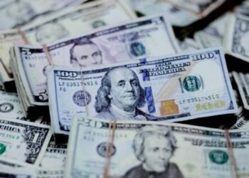 استقرار سعر الدولار أمام الجنيه المصري اليوم الأربعاء 1 يوليو 2026