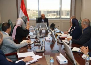 وزير الكهرباء يبحث مع محافظ الوادي الجديد سبل دعم الاعتماد على الطاقات المتجددة