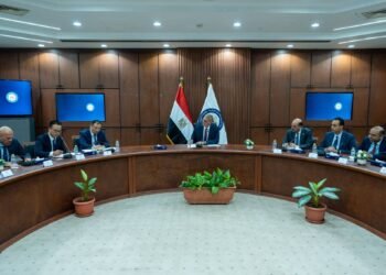 مصر والصين تدفعان بمشروعات استراتيجية في قطاع البتروكيماويات