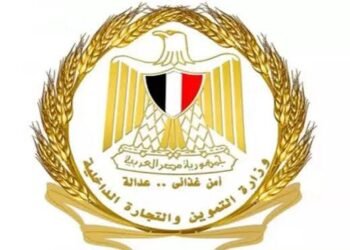 مساعد وزير التموين: يتم تعويض المستحقين للتموين بعد تحديث البيانات