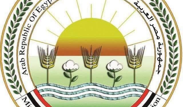 «الزراعة» تضبط 1400 عبوة مبيدات مخالفة وتحيل الواقعة للنيابة العامة