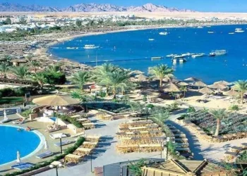 التأشيرة الإلكترونية الجديدة للسائحين تبدأ في أغسطس.. خبير يكشف التفاصيل