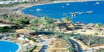 التأشيرة الإلكترونية الجديدة للسائحين تبدأ في أغسطس.. خبير يكشف التفاصيل