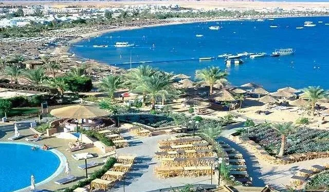 التأشيرة الإلكترونية الجديدة للسائحين تبدأ في أغسطس.. خبير يكشف التفاصيل