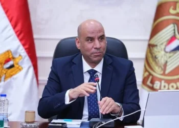 وزير العمل
