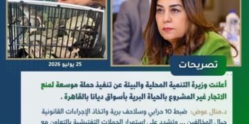 إنفوجراف أسبوعي يرصد أبرز أنشطة الوزارة خلال الفترة من 24 إلى 30 يوليو 2026
