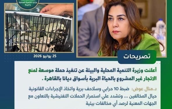 إنفوجراف أسبوعي يرصد أبرز أنشطة الوزارة خلال الفترة من 24 إلى 30 يوليو 2026
