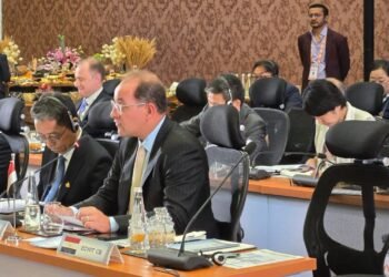 وزير المالية امام البريكس: «بنك التنمية الجديد» يمكن أن يعمل على تعبئة الاستثمارات