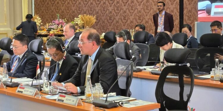 وزير المالية امام البريكس: «بنك التنمية الجديد» يمكن أن يعمل على تعبئة الاستثمارات