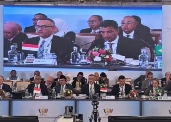 مصر تبحث جذب استثمارات جديدة في السيارات والإلكترونيات والطاقة المتجددة عبر «بريكس»