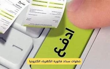وزارة الخارجية ووزارة التخطيط تطلقان خدمة سداد الفواتير إلكترونيًا للمصريين بالخارج عبر تطبيق «سهل»