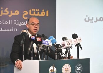 وزير الاستثمار