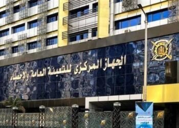 الإحصاء: تنفيذ 212 ألف وحدة سكنية باستثمارات 245.3 مليار جنيه خلال 2024/2025