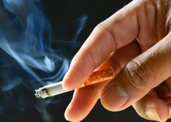 التدخين الأخضر.. هل يمكن أن تصبح السجائر غير مضرة وصديقة للبيئة؟