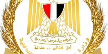 «التموين»: استمرار تنقية البطاقات التموينية وإعادة توجيه الدعم للمستحقين