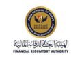الرقابة المالية: لا تعديلات على قانون التمويل الاستهلاكي حاليًا