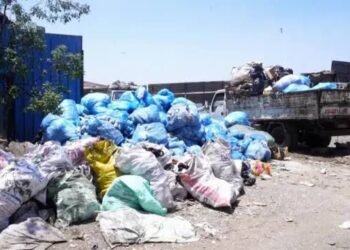 نقيب جامعي القمامة: تطوير منظومة النظافة يجب أن يحافظ على مصادر رزق العاملين